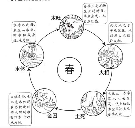 五行 木旺|五行的旺、相、休、囚、死